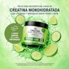 LIFE 360+ Creatine Electrolytes Refresher 300 Gramos | Sabor Pepino