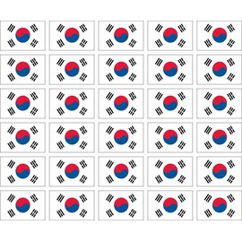 Womaha 30 Sheets South Korea Flag Temporary Tattoos World Cup European Cup Asian Cup African Cup Football Face Fattoo for Adults and Kids…