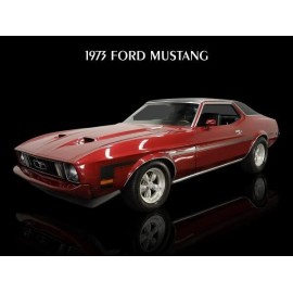 1973 Ford Mustang  NEW METAL SIGN: 9x12 Ships Free