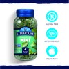 Litehouse Freeze Dried Mint - Substitute for Fresh Mint, Jar
