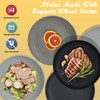 Wrova Wheat Straw Dinner Plates - 9 Inch Unbreakable Set