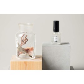 OSAJI Comfortable Top Coat "Keep Your Nail Beautiful/ Quick Drying, Beautiful Glossiness, Less Pressure" 0.4 fl oz (10 ml)