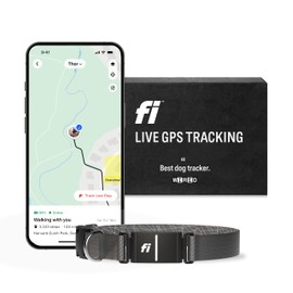 Fi Series 3 Smart Dog Collar - GPS Dog Tracker and Activity & Fitness Monitor, Waterproof, LED Light, Escape Alerts, Nationwide Coverage [Free 1 Year Membership] (Gray, Medium)