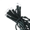 WHD Light Set String Strand - Clear Teeny Rice Bulbs