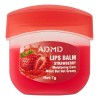 Bálsamo Labial Hidratante Repara Daños Aromas 24pzs