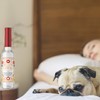 Soul Sticks Cleansing Water 7.5 oz. Bottle for Clearing Negative