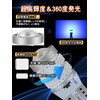 t10 led (t10 blue(2pcs)