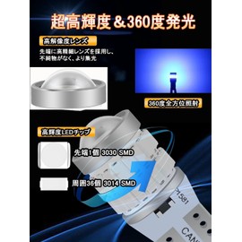 t10 led (t10 blue(2pcs)