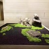 FANTIAN 20 lbs Black Silica Sand. Decorative Aquarium Gravel Substrate