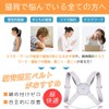 alter ego 姿勢矯正ベルト 人気 猫背矯正ベルト 猫背サポーター 女性用 男性用 矯正 USB充電式