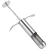 Fruit Corer for Red Dates Hawthorn Grape, Core Remover Fruit