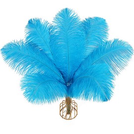 iHUFeather 10pcs Aqua Blue Ostrich Feathers Natural Bulk 12-14Inch 30-35cm for Wedding Party Centerpieces Easter and Home Decorate Ostrich Feathers