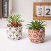 Karlliu 2 Pack Artificial Plants Small Cute Succulents in Ceramic