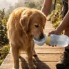 TAKAGI Botella de Agua para Perros 600 ml, Portátil, Antifugas