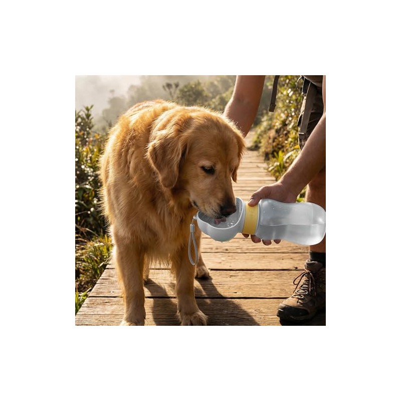 TAKAGI Botella de Agua para Perros 600 ml, Portátil, Antifugas