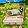 Japanese Mochi Sweet Rice Dessert (1 PACK, MATCHA MOCHI)
