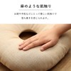 Ikehiko Cushion 円座 Solid Simple "Mocha" Blue Approximately/43 cm Round #