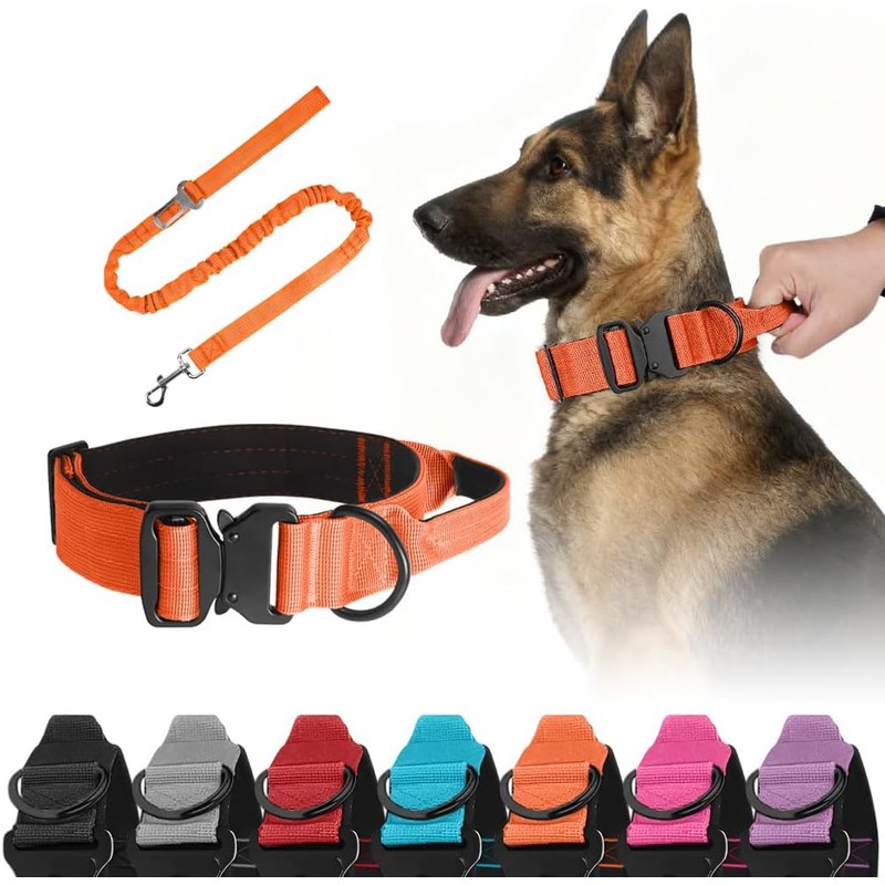 Collar Táctico para Perros - Seguridad y Comodidad en Tus
