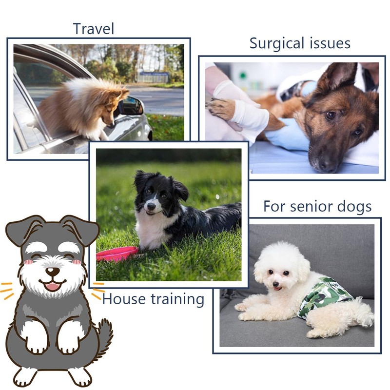 Hisprout Male Dog Nappies Reusable Washable Durable Absorbent Fabric Puppy