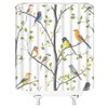 Fsfusvk Bird Shower Curtain Spring Colorful Birds on Tree with