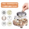 TWODAYS Transparent Pig Money Bank Digital Counter Bill Coin Storage