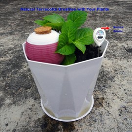 yazeziliya 4 Pcs Self-Watering Terracotta Watering Spikes for Outdoor Plants,Ollas Plant Watering Globes for Garden,Raised Bed Potted Plants,Large 15 Oz for Vacation,Indoor and Outdoor Use