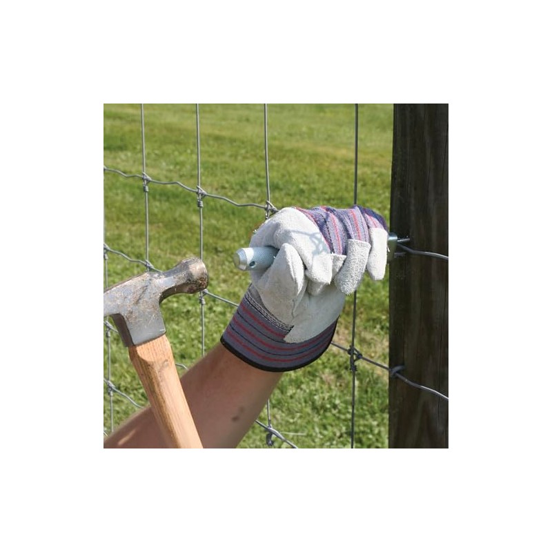 Fencer's Choice Staple Starter (Regular)