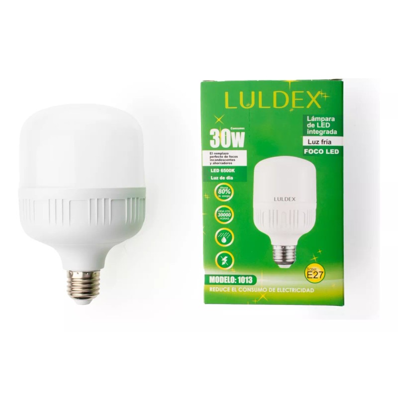 LULDEX Paquete 10 Focos Led Color Luz Fria 30 W