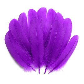 PMYUMAO 300pcs- Purple Feathers for Crafting,5-7inch Bulk Natural Feathers for Kindergarten Kids DIY Crafts,Costume Decorations,Wedding Home Party Decorations,Dream Catcher Supplies.(Purple)