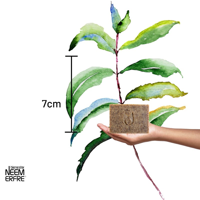 bienestar NEEM ERFRE Jabón Natural Artesanal Eucalipto con Aceite Neem