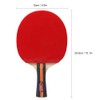 [通拓商品]Table Tennis 2 Player Set 2 Table Tennis Bats Rackets