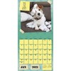 Guilty Dog Calendar