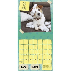 Guilty Dog Calendar