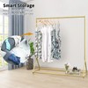 BOSURU Gold Pipe Clothing Racks Freestanding, Modern Metal Clothes Rack