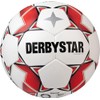 DERBYSTAR BRILLANT TT AG Soccer Ball, No. 5 Ball, IMS