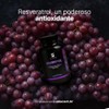 Life Resveratrol 100 Cápsulas Antioxidante Pimienta Negra Uva Roja Acai