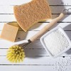 HIC Kitchen Natural Bristle Veggie and Dish Scrub Brush, Non-Scratch