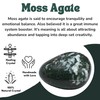 1 oz Moss Agate Crystal Tumbled Stones Polished Rocks -