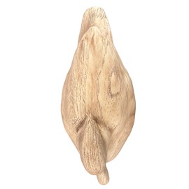 Hymmah Duck Home Decor Statue Rustic Home Decorations for Living Room, Boho Sculpture Resin Animal Collectible Figurines for Indoor Decor (Beige)