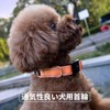 NESTROAD Dog Collar, Adjustable, Nighttime Reflective, For Small, Medium, and