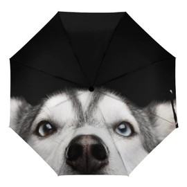 Rnivry Husky Dog Umbrella Windproof Compact Travel Umbrellas Automatic Open/Close Folding Sun Rain Umbrellas Collapsible Auto Portable Umbrella