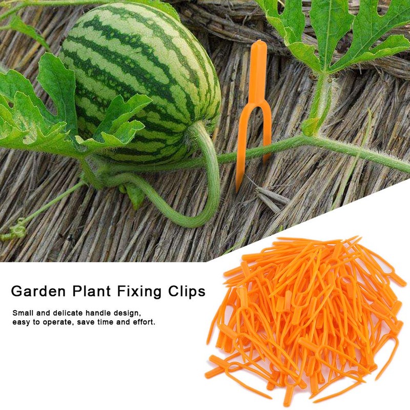 100Pcs Gardening Plant Fixing Clips, Reusable Plastic Stolons Fastening Vines