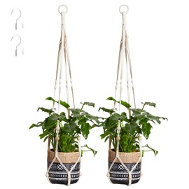 PROTITOUS 2 Pack Macrame Plant Hanger Indoor Hanging Planter Basket with No Tassels with Wood Beads Decor Flower Pot Holder Indoor Outdoor Boho Home Decor with 2 pcs Hooks,Ivory,35 Inch