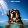 Upgraded AirTag Dog Collar, IP68 Waterproof Air Tag Dog Collar