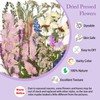 DALARAN 45Pcs Pink Dried Pressed Flowers for Resin Molds Real