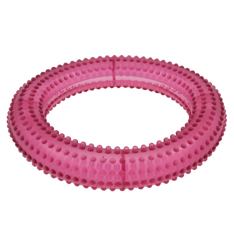 The Pet Store Treat Ring Dog Toy