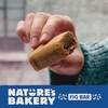 Nature’s Bakery Gluten Free Fig Bars, Blueberry, Real Fruit, Vegan,