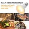TEKIZOO Heat Lamp Bulbs Reptile Basking Light Spot Daylight for
