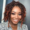 BOHOBABE Crochet Passion Twist Hair Pretwisted 10 Inch Short Pre-looped