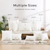 Ashler Home Deco Outdoor Waterproof Pillow Inserts - 12 x